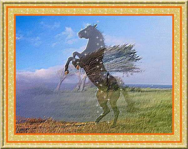 Cheval cabré Cheval cabre