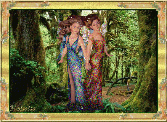 Deux fées dans la forêt
